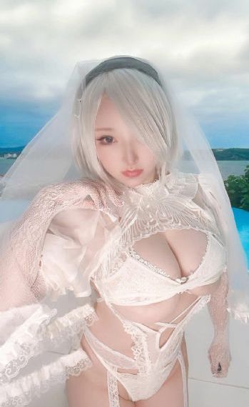 健全机斗士