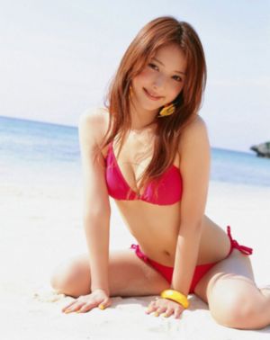 新游记