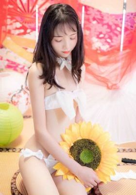 国产电视剧《反击》